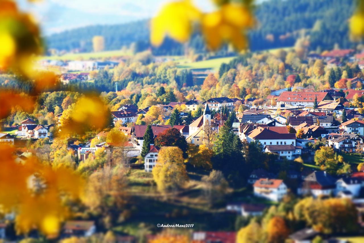 Haus Vierjahreszeiten Bodenmais Dış mekan fotoğraf